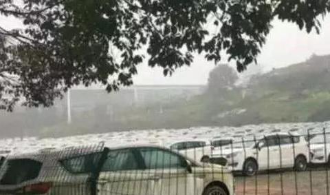 又一国产车要凉？库存堆积如山车身布满青苔