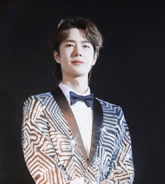 仪态最好看的明星,王一博刘诗诗榜上有名!怎样