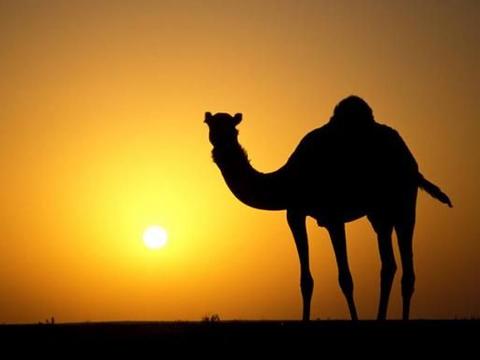 玛莎拉蒂教你如何耍单，概念车单座无顶 怪兽：复古风格一人独享