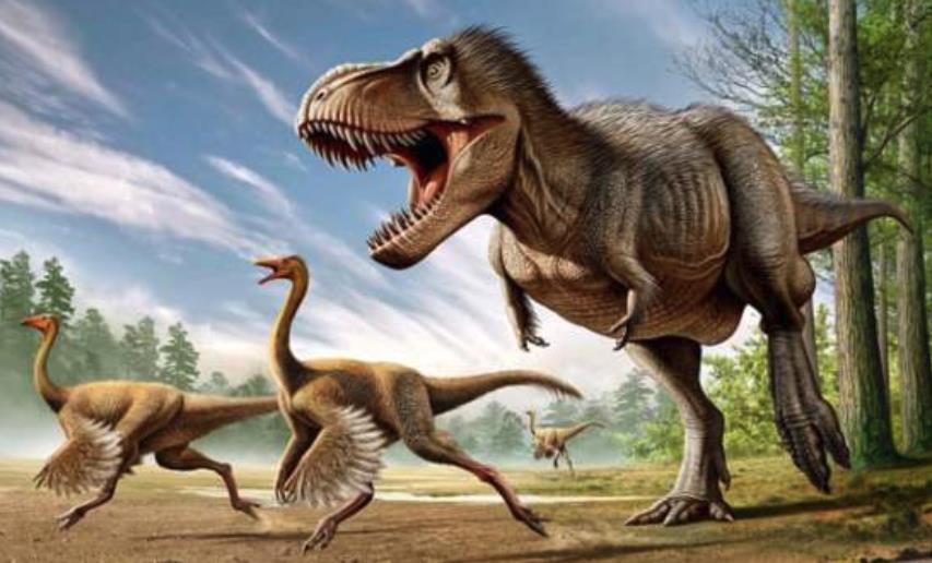 5个关于恐龙的事实:可能长有羽毛,叫声像公鸡