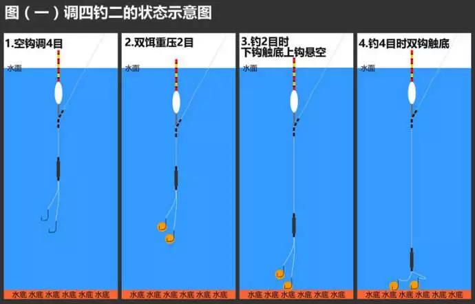 子线长度的选择与鱼情的关系