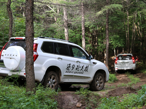 新手买车应该注意什么？