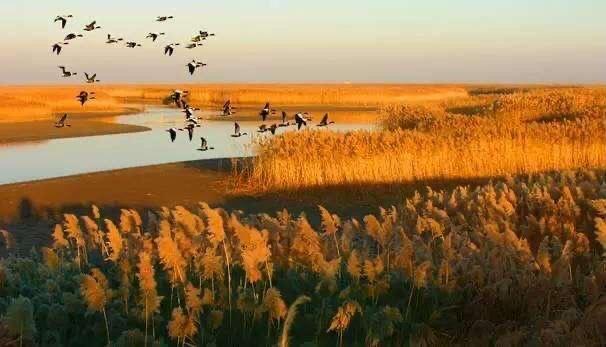 盘锦人均gdp排名2020_辽宁省GDP数据排名,大连遥遥领先,沈阳人均数值仅第