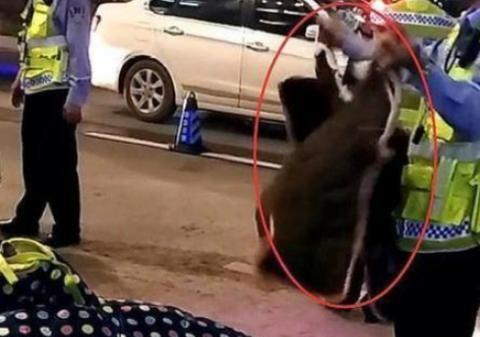 电动车禁止安装挡风被？交警：不听话，直接罚50