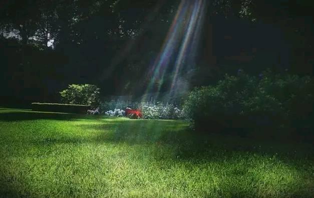 年轻人执着稳定工作原因 稳定工作重要性解析