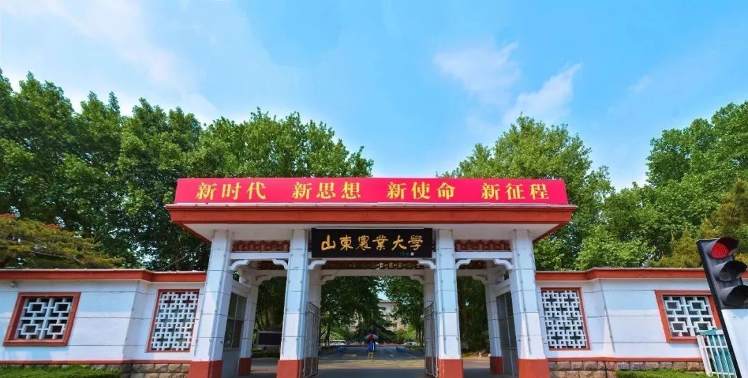 金融中国大学排名_武书连2019中国大学排行榜公布浙大排名超越北大(2)