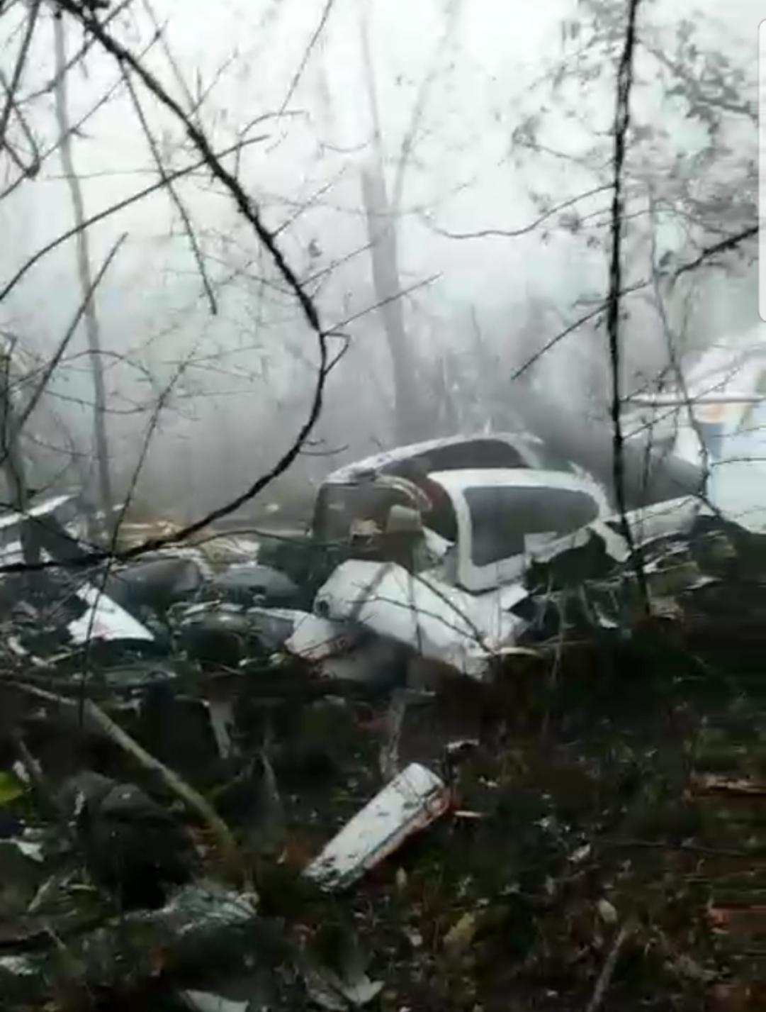  现场视频显示，坠机点位于山坡上的一处林地。受访者供图