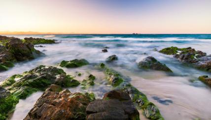 2020B区医学院校调排名8_2020考研调剂情报:B区调剂院校大汇总!(2)