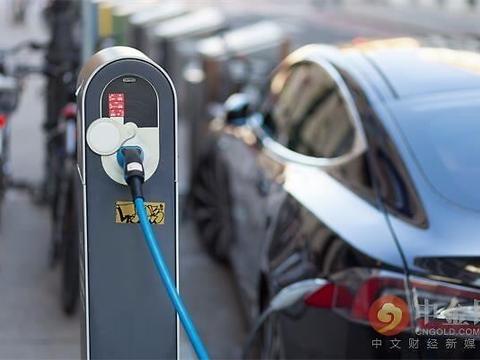 新能源汽车还未长大成“人”，“断奶”或将前功尽弃