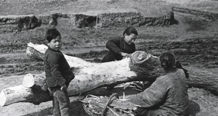 1936年大饥荒, 10张差点销毁的老照片, 百姓树皮为食