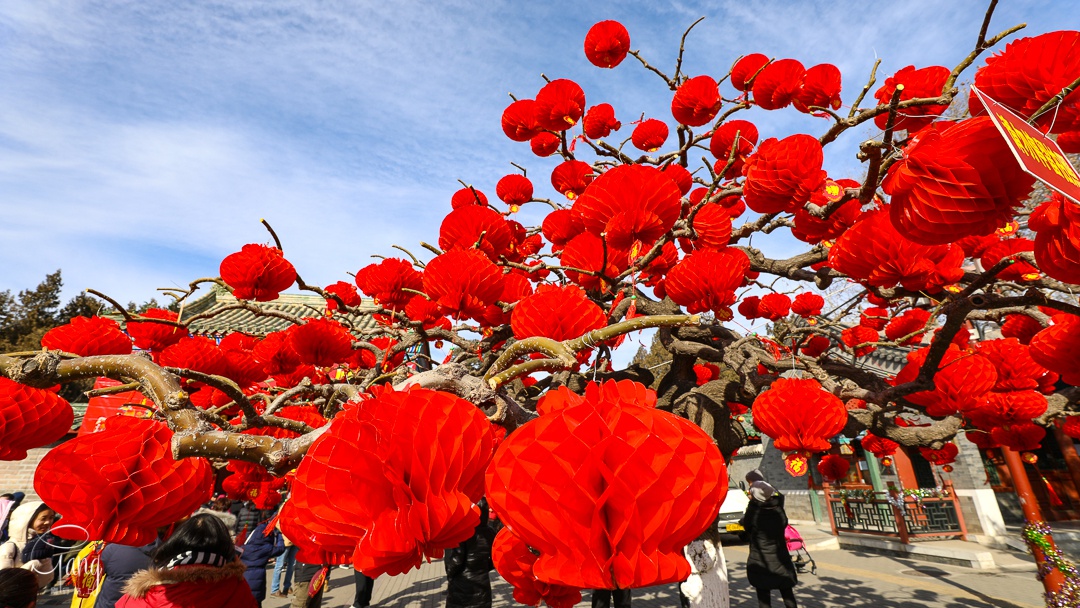 春节习俗盘点，全国各地过年大不同，你所在的城市怎么过年