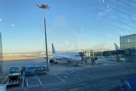 2020全球护照含金量_涨姿势:全球护照含金量榜单全新出炉!