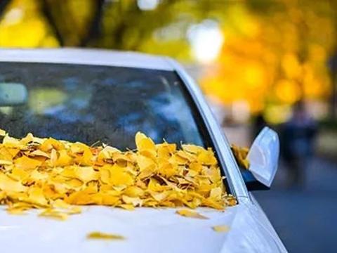 挡风玻璃脏了，如果洗不干净，可以用这种方法做，透亮清晰