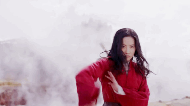 刘亦菲主演的《花木兰》
