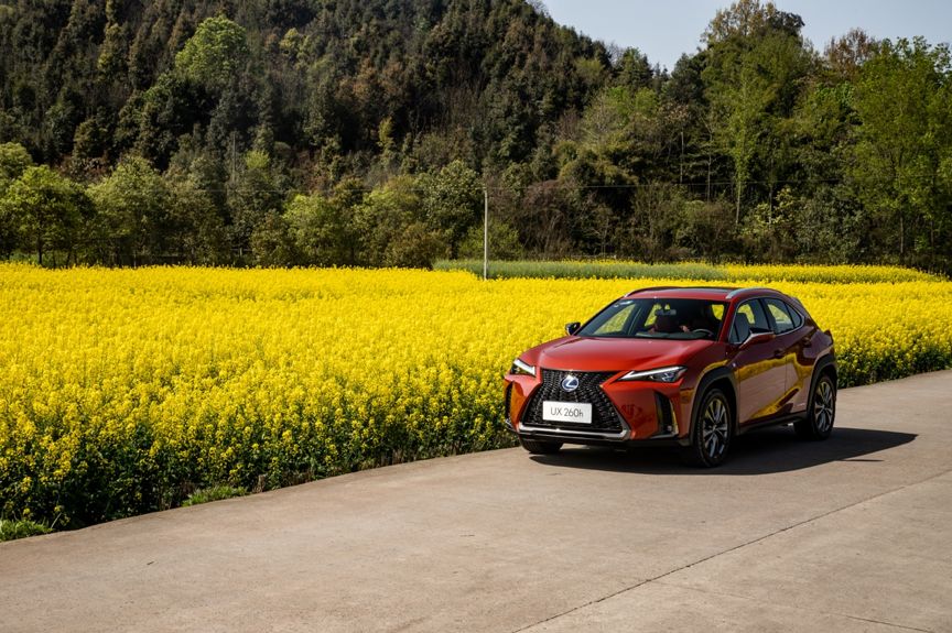 豪门之争丨雷克萨斯、沃尔沃在笑,谁在挣扎?