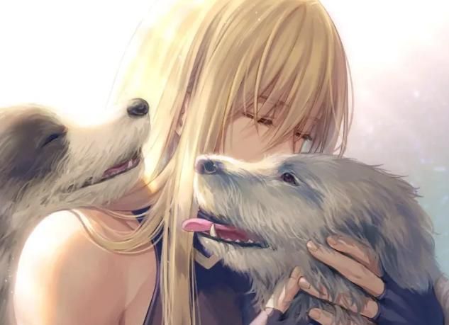 fgo最强从者排名2020_fgo2020年的福利活动四星从者汇总立绘一流强度靠谱