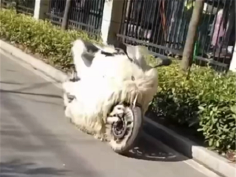 “宝马标”国产摩托，造型似川崎，排量149CC，自带“保暖系统”