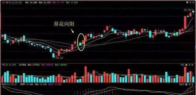 中国股市一旦出现葵花向阳形态别抛了主力要跑步进场