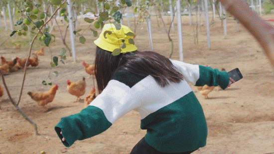 【假期团购】火锅、烤肉、日料、K歌...低至1折嗨翻假期!
