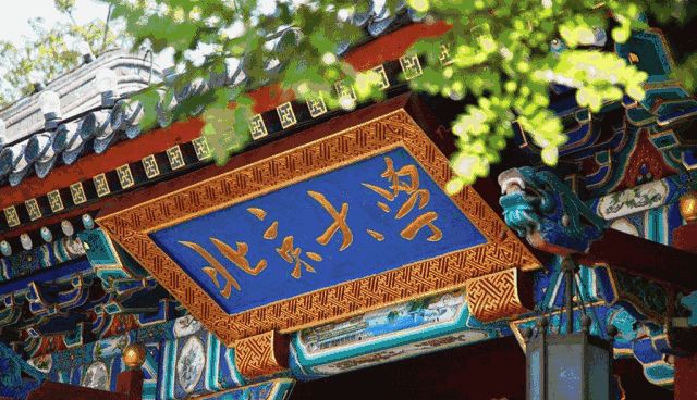 省实验、东北育才、二中将实行指标到校政策!这类招生取消……