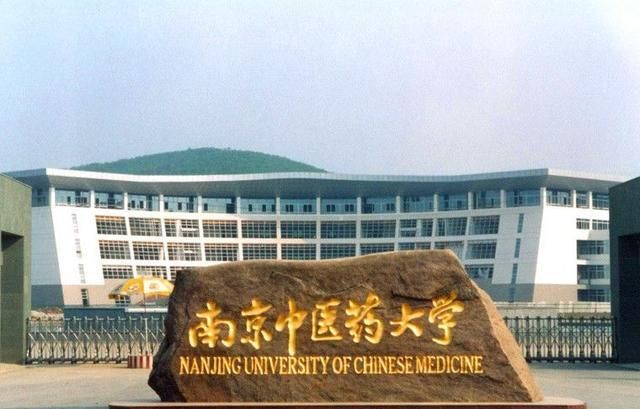 2020南京中医药大学_南京中医药大学人才大会第三组分会成功举办(2)