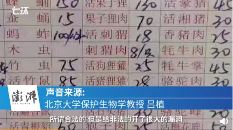 不要让华农兄弟成为查禁野味的受害者|大象公会