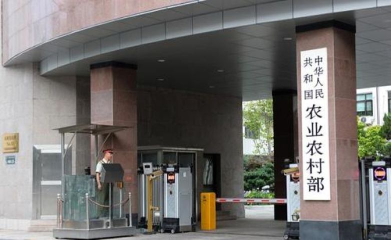 不要让华农兄弟成为查禁野味的受害者|大象公会