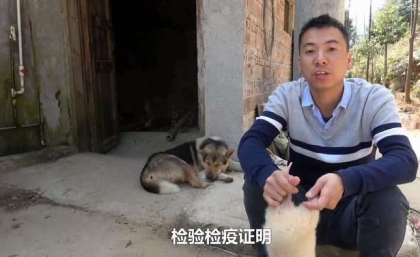 不要让华农兄弟成为查禁野味的受害者|大象公会