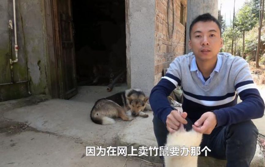 不要让华农兄弟成为查禁野味的受害者|大象公会
