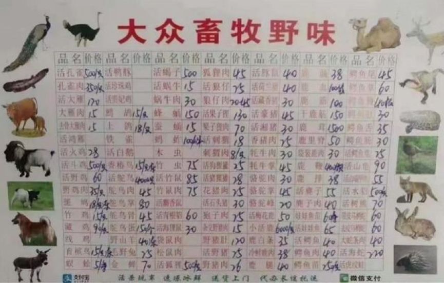 不要让华农兄弟成为查禁野味的受害者|大象公会