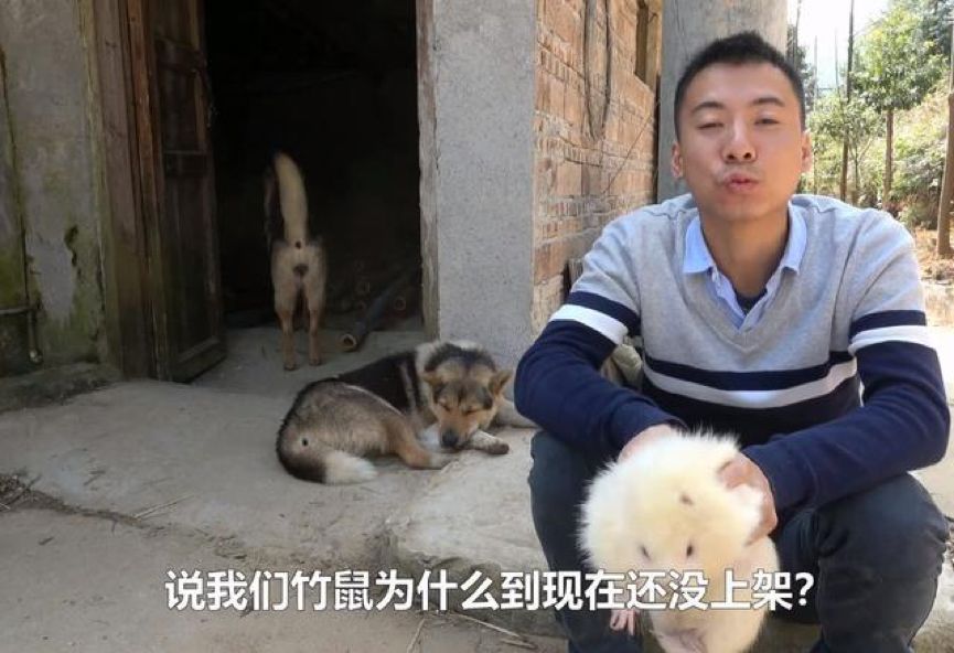不要让华农兄弟成为查禁野味的受害者|大象公会