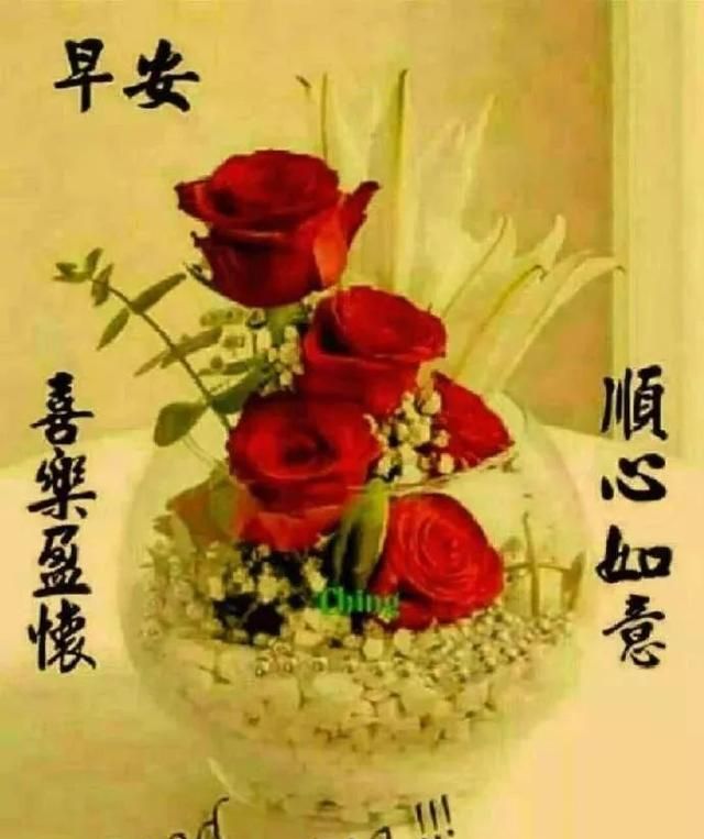 冬季寒冷清晨慰问大家早安正能量图片 早上好表情包带祝福语