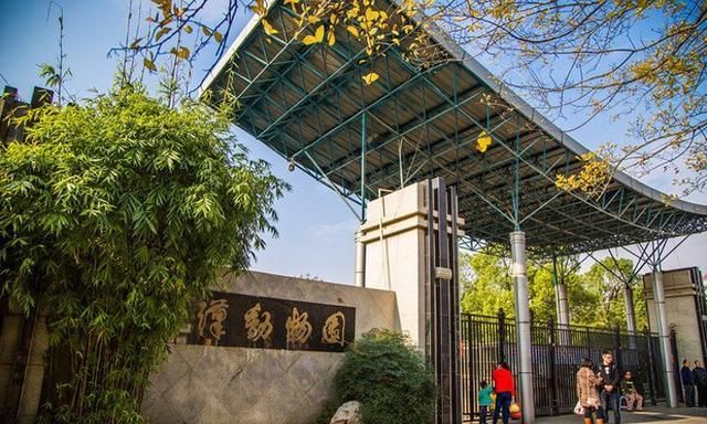 武汉动物园是大武汉的一部分,救助动物在行动