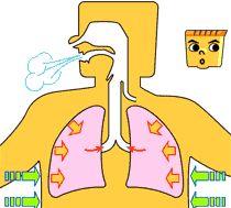 疫情汹涌！如何亲手DIY为爱车消毒？