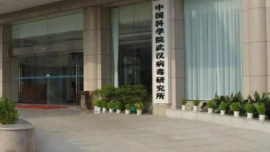 抗击新冠肺炎的双黄连之母：80后正厅级巾帼英雄