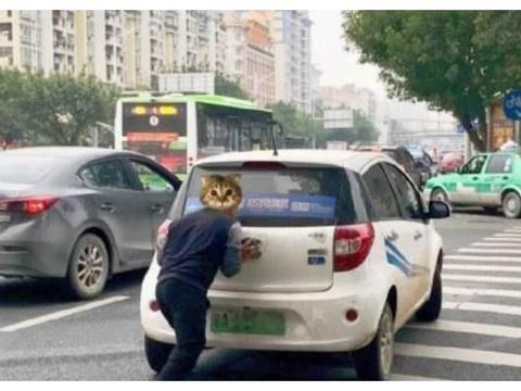堵在高速上，新能源汽车“原形毕露”，车主：打死不买新能源