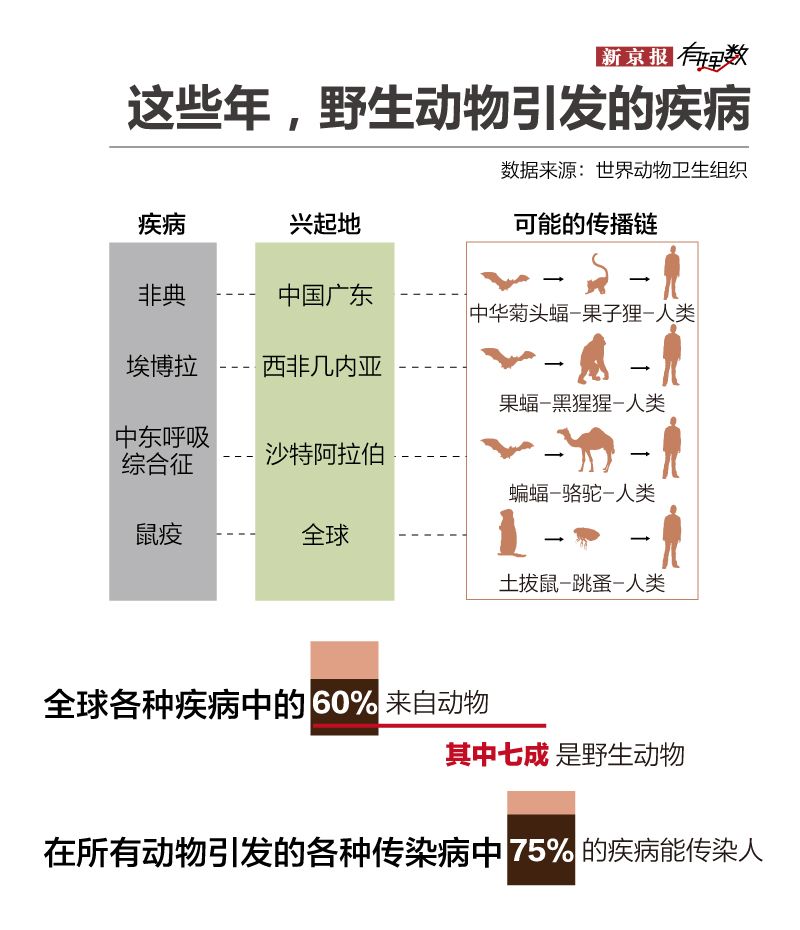非典和埃博拉都被怀疑源于蝙蝠 吃野味你图个啥
