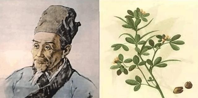 靠谱!适量饮中国白酒确实防疫