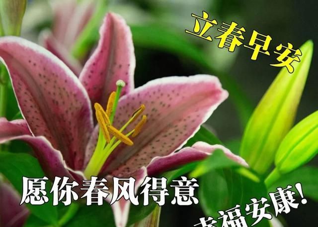 2020最新立春早安图片带字带祝福祝你春风得意幸福安康