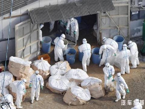 “疫情横行”，2020年车市何去何从？