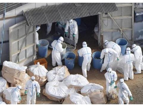 “疫情横行”，2020年车市何去何从？