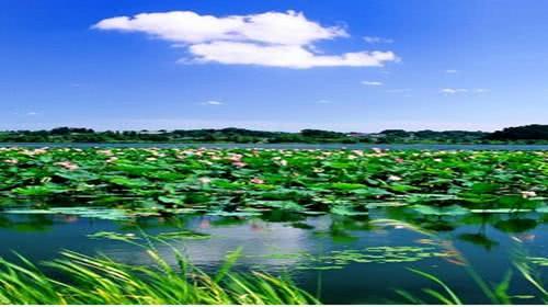 我是洪湖的到天门住院报销多少？