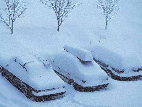 这些便民措施你需要知道！