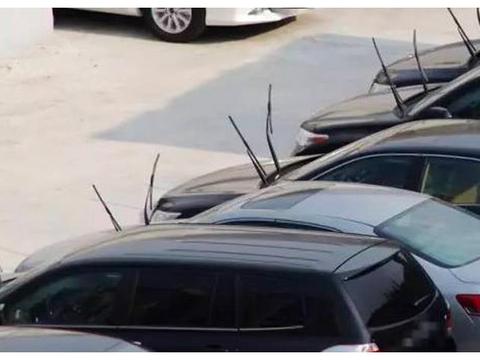 开车前千万别用雨刮器刮雪！这一点老司机都懂