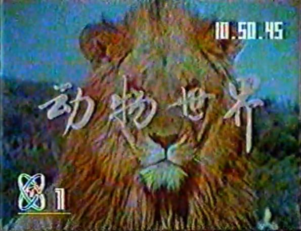 中国历史第二长的电视节目是怎样炼成的｜大象公会