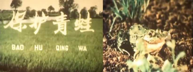 中国历史第二长的电视节目是怎样炼成的｜大象公会