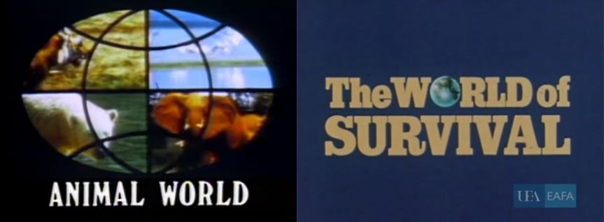 中国历史第二长的电视节目是怎样炼成的｜大象公会