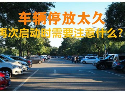 这个假期我的车半个月都没有动，再次启动需要注意什么？