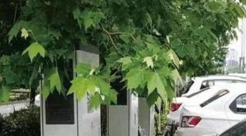 开电动车能比燃油车省多少钱？简单算了一下，车主直呼后悔