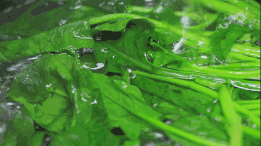 “做饭”用英语怎么说?千万别翻译成make rice!